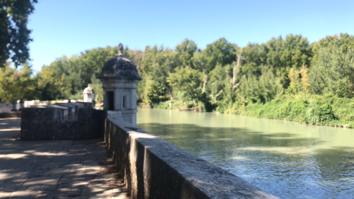 Ch0b3t's tweet photo. Hoy para hacer los 10k pasos del dรญa por variar he ido a los Jardines del Principe del Palacio Real de Aranjuez. Es un paseo muy chulo a orillas del Tajo con bastante sombra que se hace bien. Repetiremos #MTGFit https://t.co/3PuCM8oncL