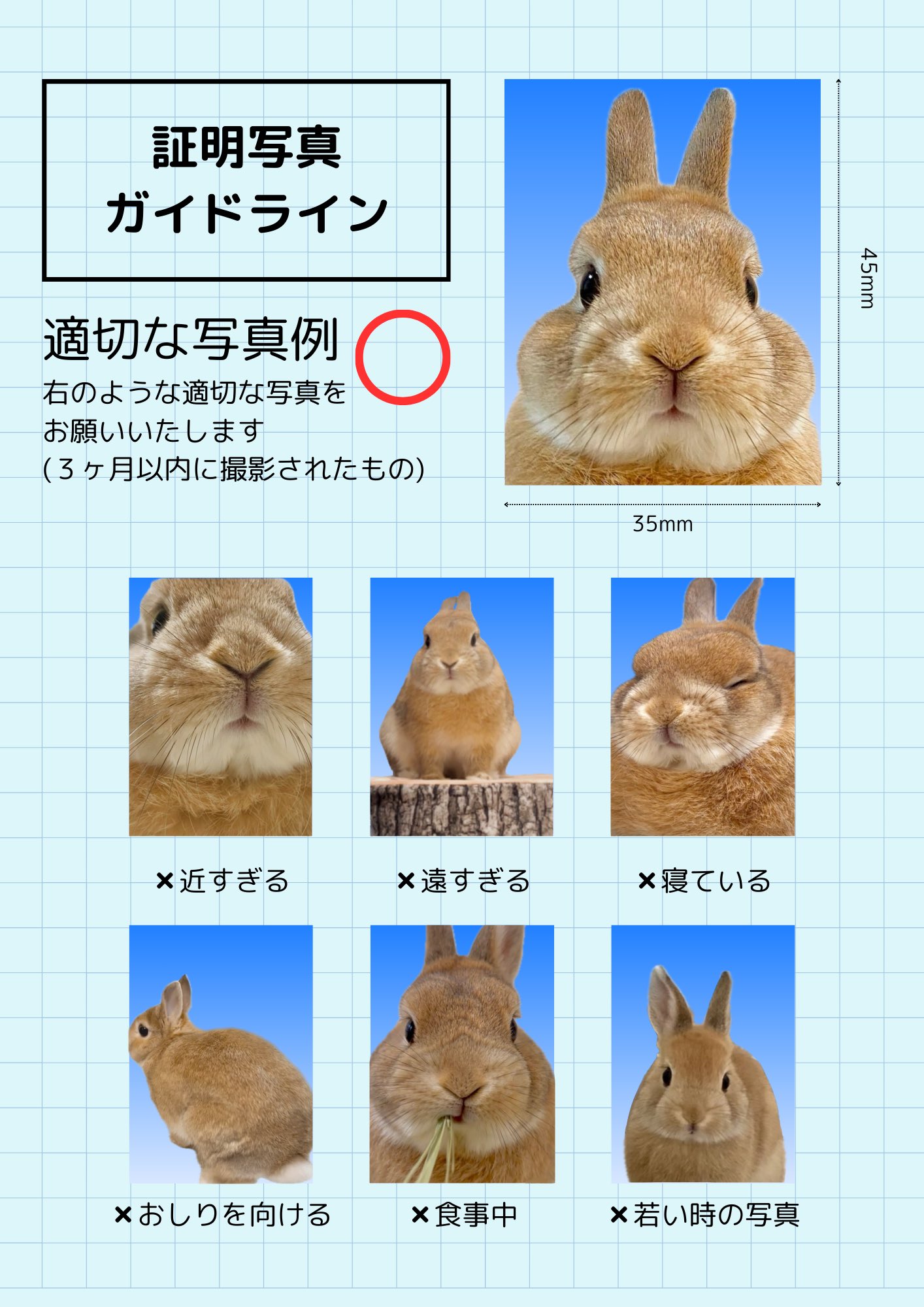 アーティストの証明写真 証明写真風 - Search / X