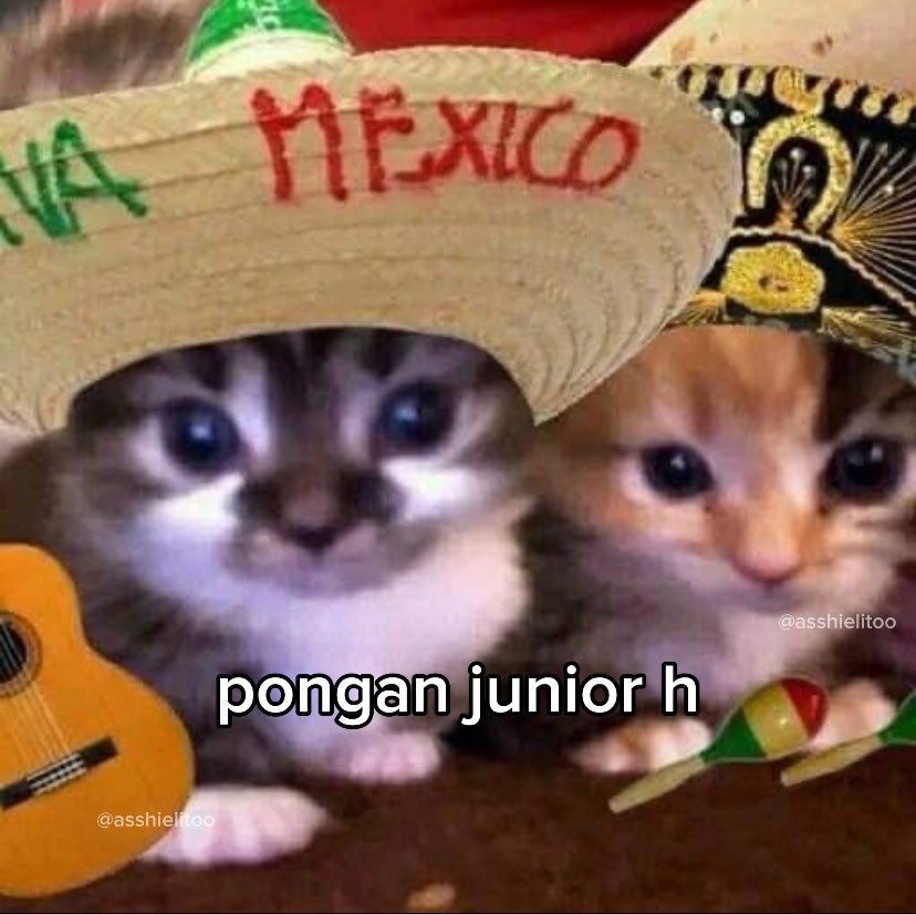 yo y qn