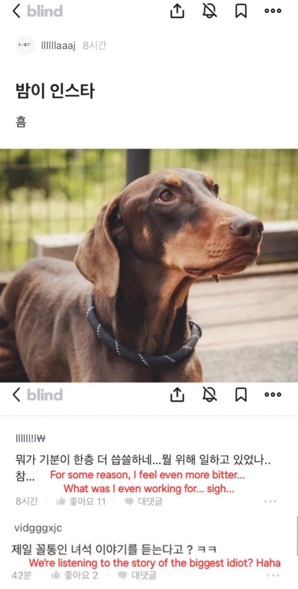 dreamjeons's tweet image. 하이브는 사내 블라인드에서 소속 아티스트를 비방하고 모욕하는 언행을 한 직원들에 대해 인사조치 및 법적 제재를 취하고 회사의 사과문을 게재하기 바랍니다

@HYBEOFFICIALtwt @BIGHIT_MUSIC