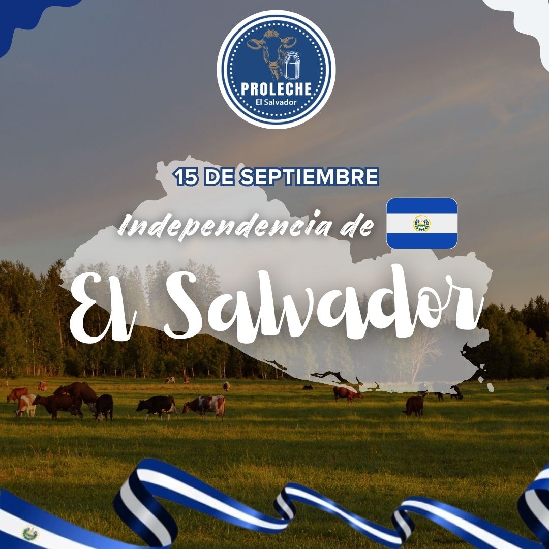 ProlecheES's tweet photo. Hoy celebramos con fervor nuestro amor por El Salvador. En la Asociación de Productores de Leche de El Salvador, PROLECHE, trabajamos con pasión para contribuir al crecimiento de nuestro país. 

¡Gracias por su apoyo! 🇸🇻
 #ElSalvador #Ganaderos #SalvadoreñosUnidos
#Independencia https://t.co/DWF2xSQQfV