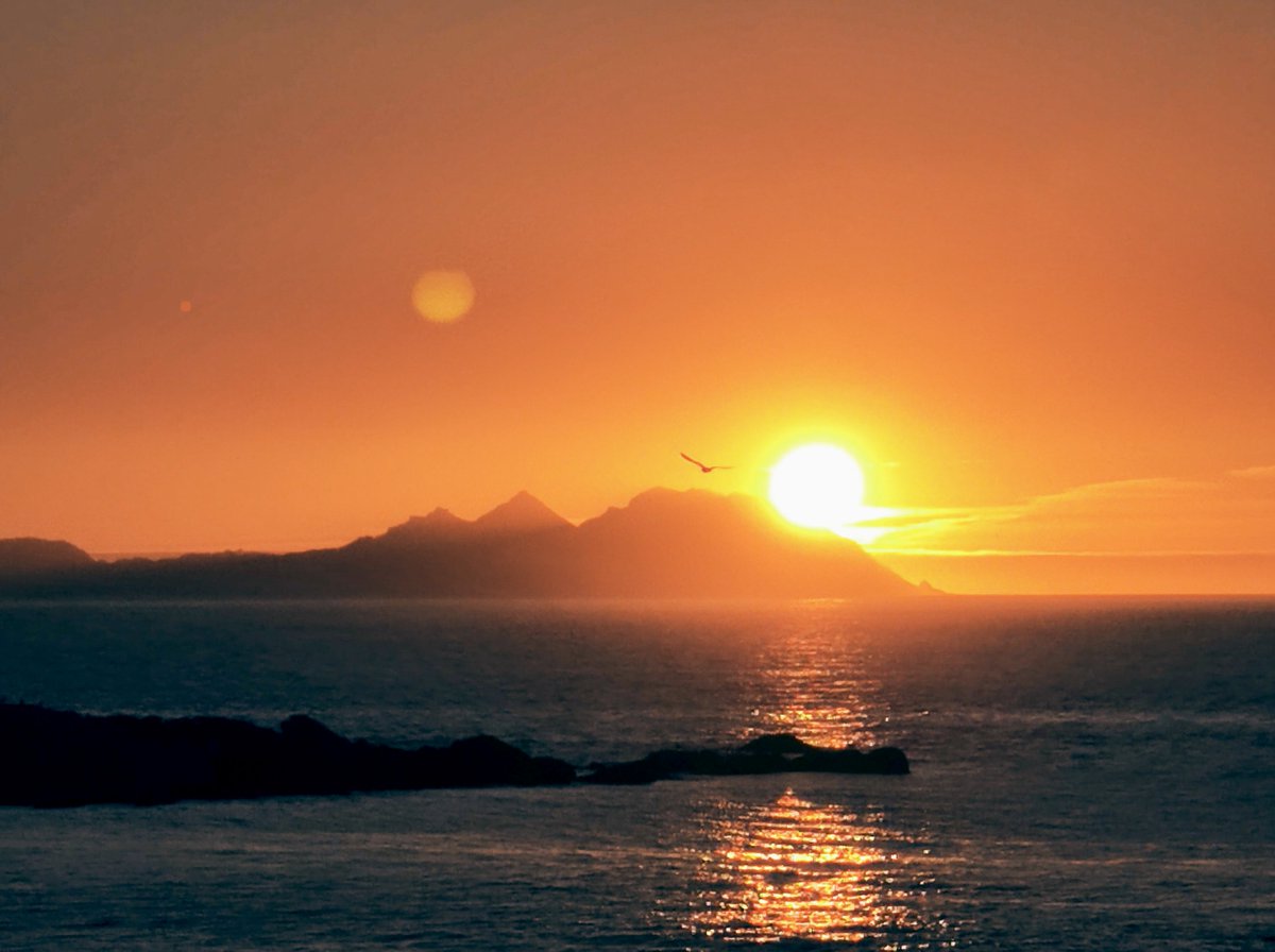 Freedom 🕊️
objkt.com/tokens/KT1FEEE…