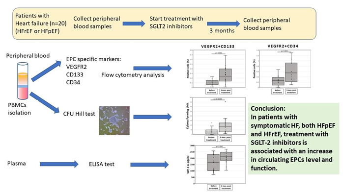 JCVPOnline's tweet image. SGLT2 Inhibitors Boost Endothelial Progenitor Cell Function in Heart Failure
pubmed.ncbi.nlm.nih.gov/38922584
#SGLT2i #HeartFailure #EPCs #Cardiology #HeartHealth