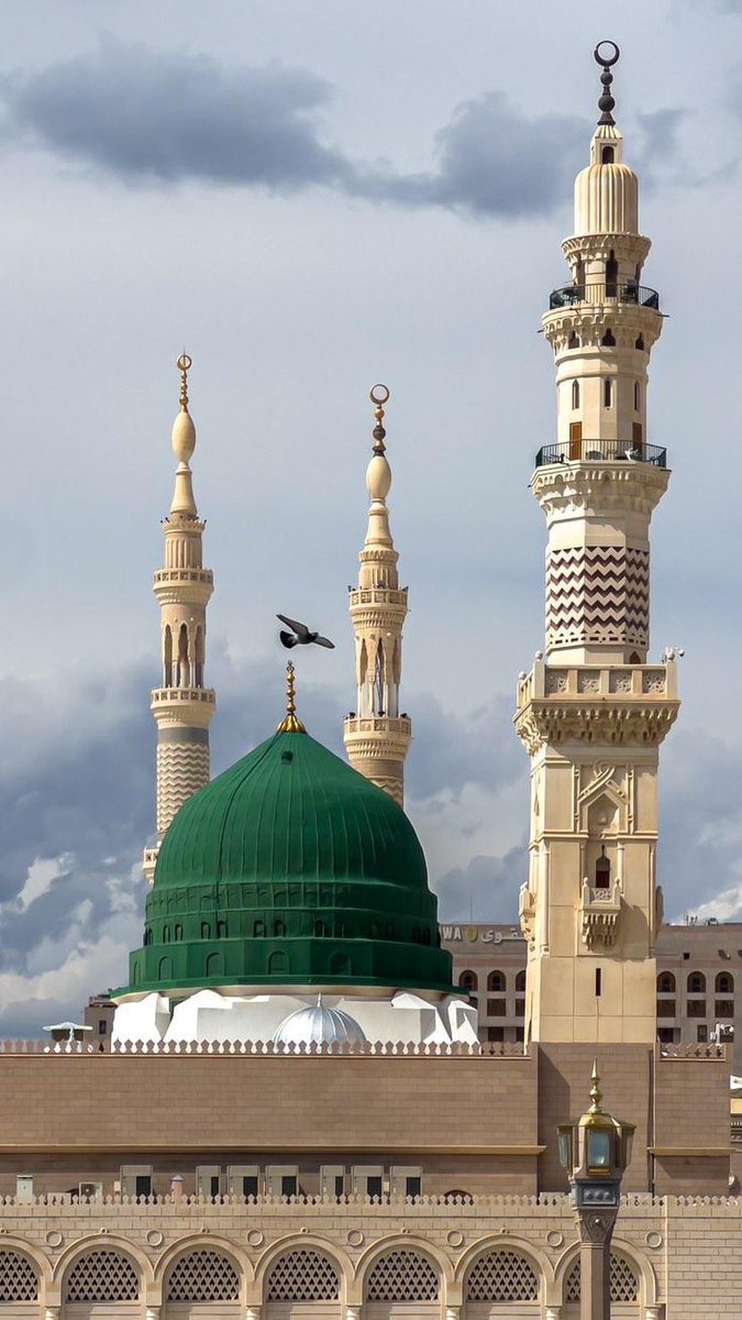 حضرمية | Glory tweet media