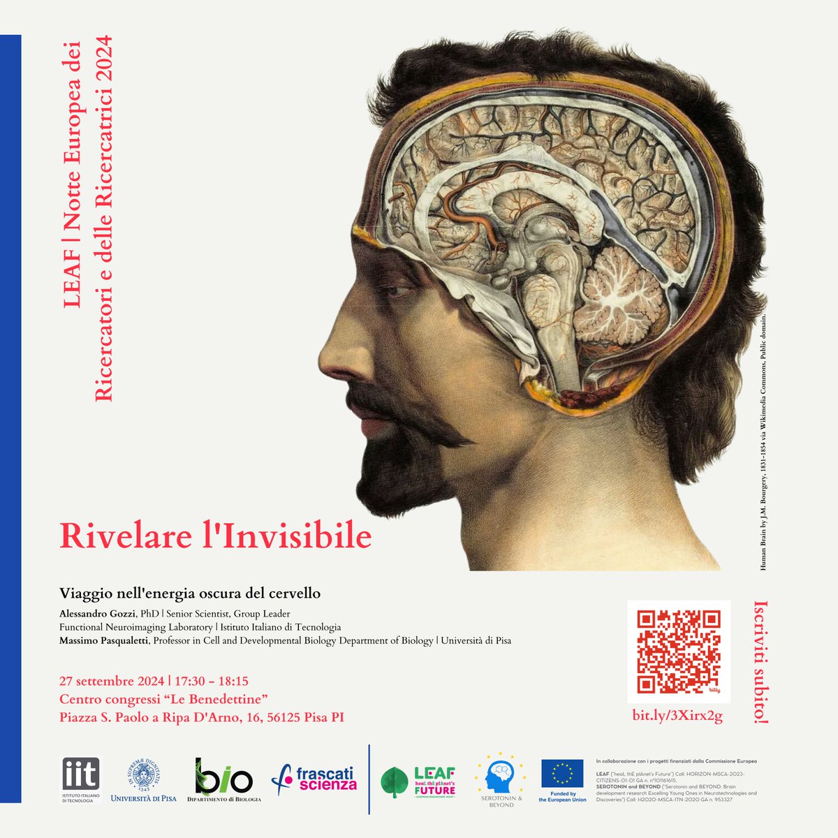Dipartimento di Biologia - UniPisa tweet media