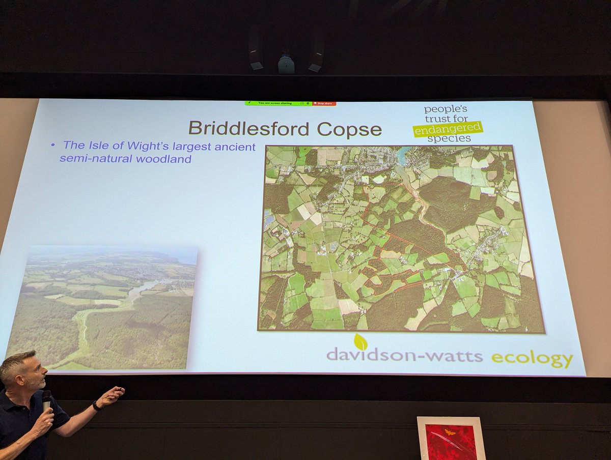 Bat Conservation Trust tweet media