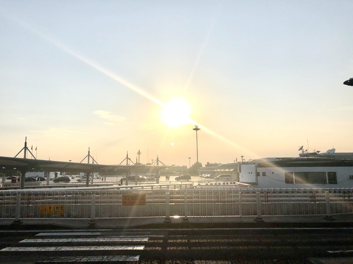 Cointree tweet media