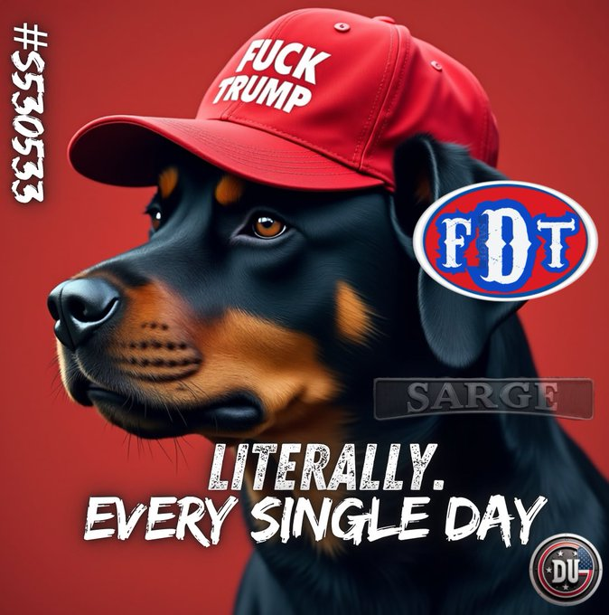 DUnitedGraphics's tweet photo. Every single day, Trump, Vance and right-wing crazies spread their hate for immigrants.

Right now they are focused on Haitians in Springfield, Ohio.  They want us to believe they are vile people who eat pets and spread aids.

Sick of their vile BS? Use the meme.
#DemsUnited https://t.co/JBqdNE9Cvp