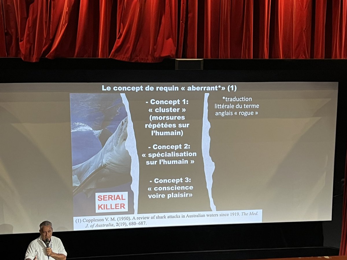 salles_obscures's tweet photo. CONFÉRENCE DENTS DE LA MER : LES "REQUINS ABERRANTS"* EXISTENT-ILS VRAIMENT ? (* "rogue sharks") #ParisSharkWeek2024 @parissharkweek https://t.co/lYRsAbGz8R