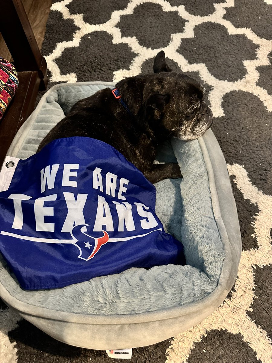 Resting up because…it’s #GameDay for the <a href="/HoustonTexans/">Houston Texans</a> #HTown <a href="/TexansTORO1/">TORO 🐃</a> #WeAreTexans