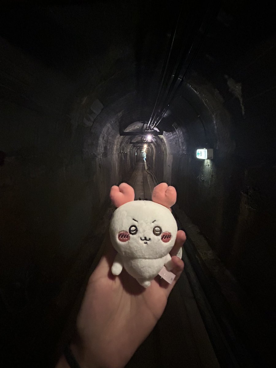 yababazo's tweet image. そういえばこの前佐渡行ったけど、めっちゃ良かったのでおすすめです