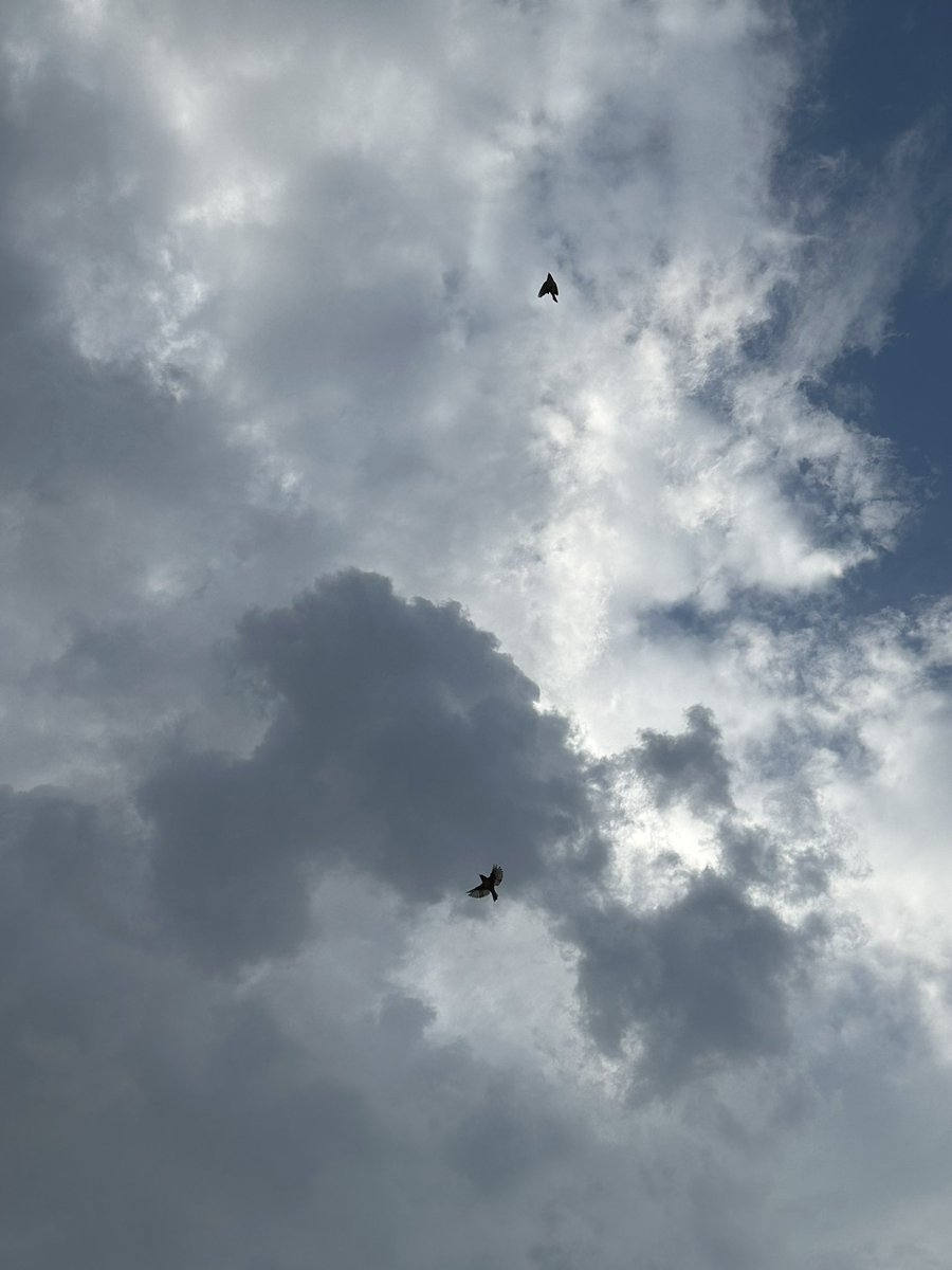 clouds lover (@LOMLCLOUDS) / Posts / X