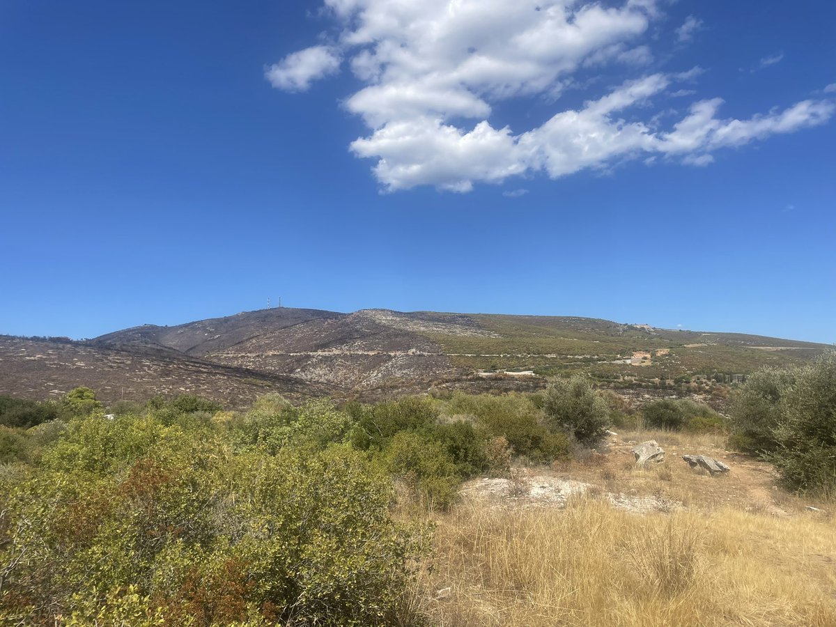 Klaus Reicherter tweet media