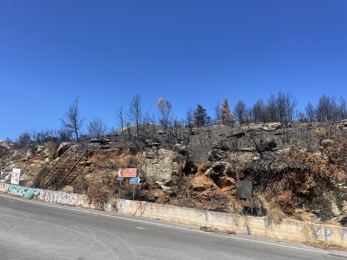 Klaus Reicherter tweet media