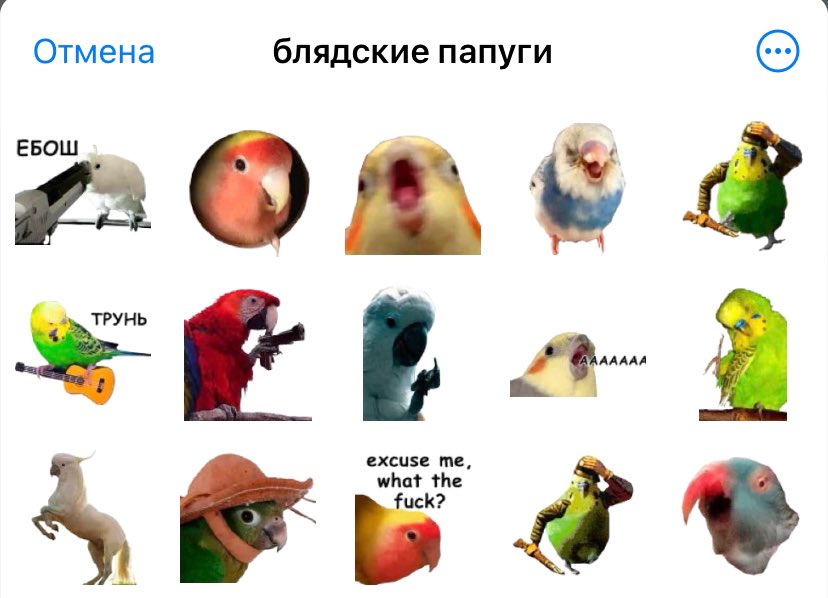 Сразу после выхода Кеза: