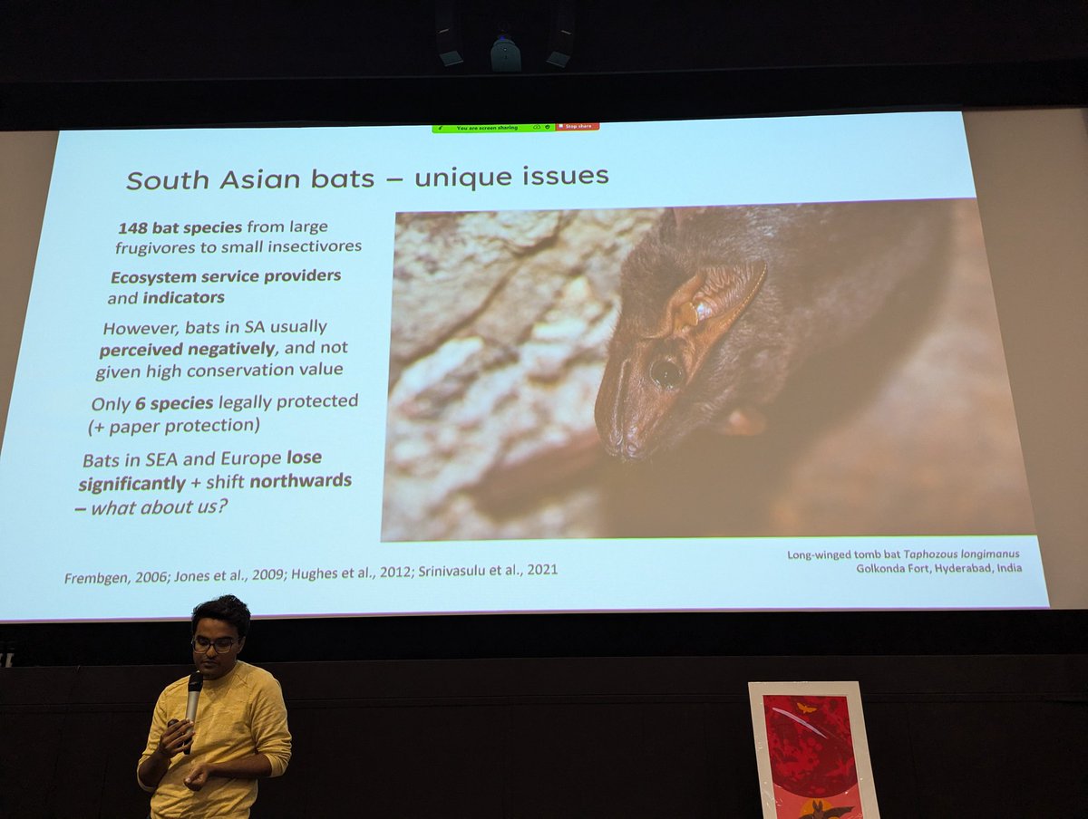 Bat Conservation Trust tweet media