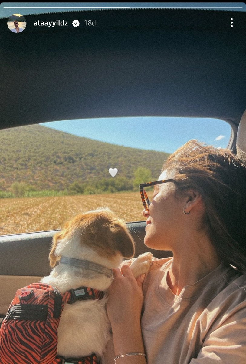 Ben ne kaçırdım bilgi lütfen ajdjja