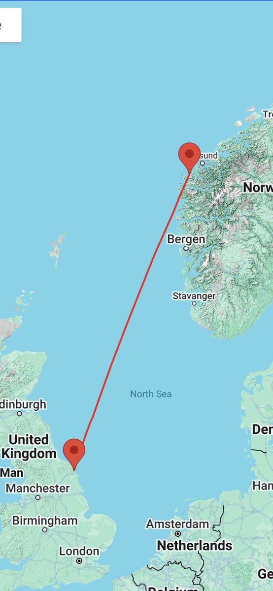 castlebirder's tweet photo. An small increase in GBB &amp; almost inevitably a new ringed 1cy  GBB Gull seen at Scalby Mills, Scarborough yesterday. Ringed in Norway as a chick on the 9/7/2024 https://t.co/4Nu4xR1hfT