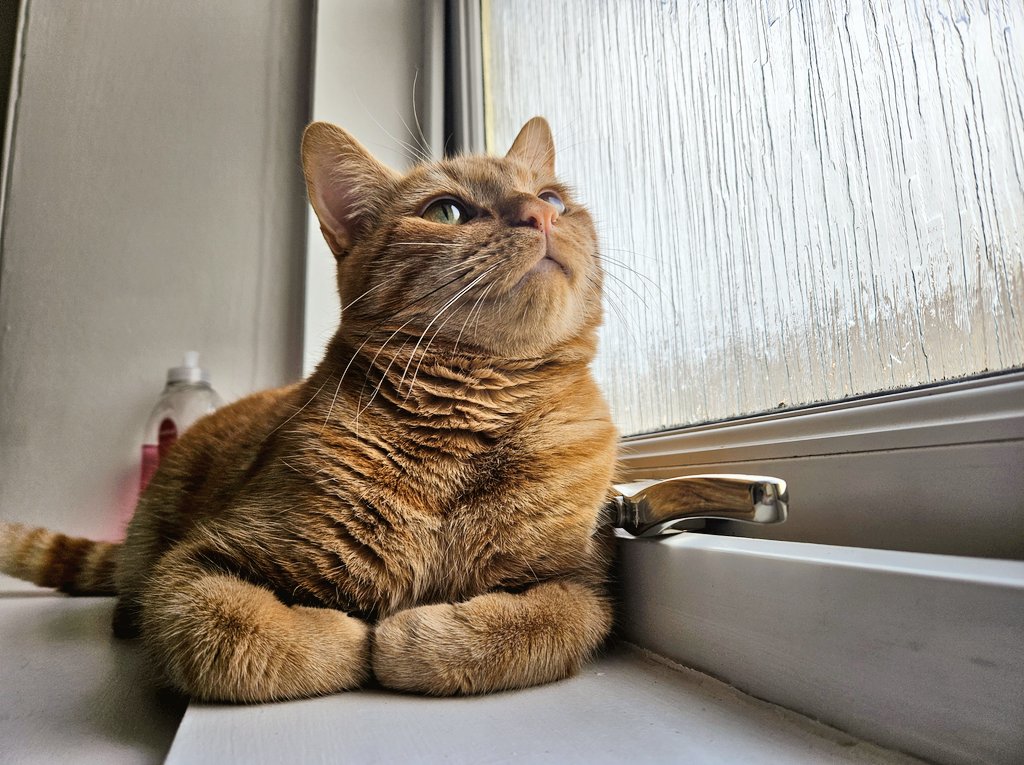 polightly tuckt: )