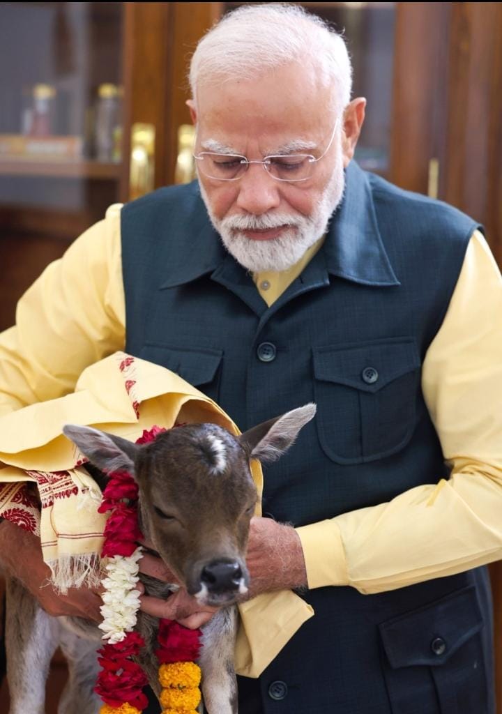 भारतीय गौवंश की स्थापना के लिए बस एक कानून चाहिए..भारतीय गौवंश और उसके अमृत-उत्पाद को अलग #कानूनी_परिचय दे दिया जाए। जो गौ विषय से गहनता से जुड़े हैं, मेरी बात समझ सकेंगे।
<a href="/narendramodi/">Narendra Modi</a> 
<a href="/PMOIndia/">PMO India</a> 
<a href="/RSSorg/">RSS</a>