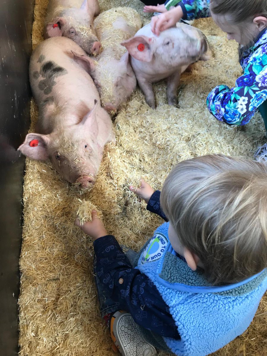 Mooi om bij het #weekendvanhetvarken te kijken bij collega’s. Super leuk opgezet <a href="/Femkenijhof123/">Femke</a>