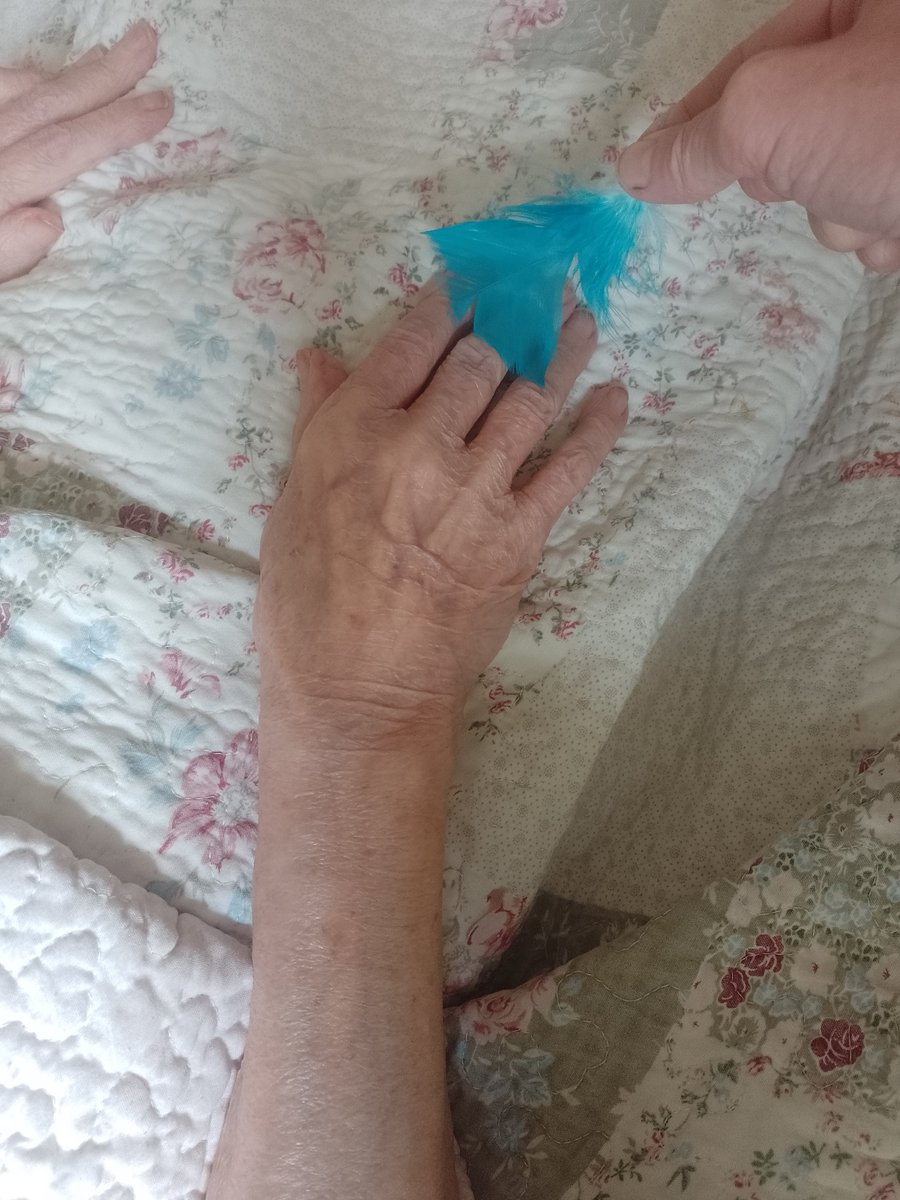 "This is magic!"
Creating gentle interactions and sensations with a resident unable to leave her bed.
Moments made with support from <a href="/LuminateScot/">Luminate Scotland</a> Arts in Care project and in collaboration with The Argyle Care Home.