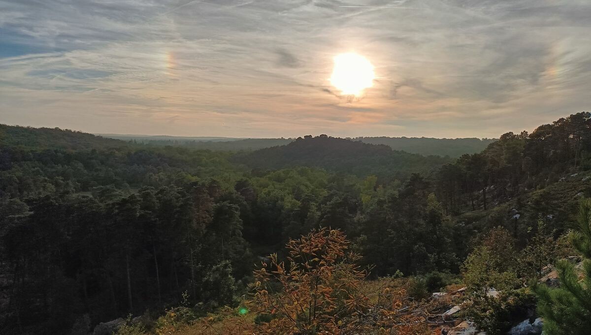 France Inter tweet media