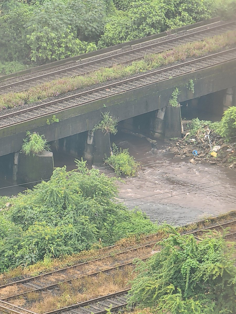 vankarm's tweet photo. @NMMCCommr @mpcb_official @CPCB_OFFICIAL @midc_india @Dev_Fadnavis @mieknathshinde @narendramodi आज रविवार पण हे कारखाने लोकांची पर्वा न करता अति तीव्र विषारी केमिकल महापेच्या नाल्यात सोडत आहे लोकं हैराण आहेत उलटी मळमळ आणि डोकेदुखी यापासून त्रस्त आहे MPCB यांना त्याची पर्वा नाही https://t.co/VUu0uzTxd8