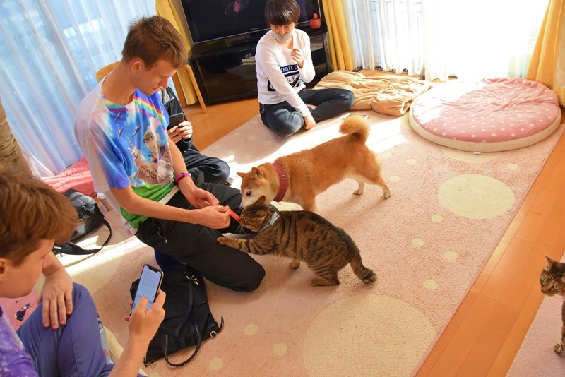 Hey <a href="/VitalikButerin/">vitalik.eth</a>

We know how much Doge meant to you, especially after your visit with Atsuko Sato, Doge, and Cate back in 2018.

In memory of our beloved Doge, we want to make a lasting impact by donating $100,000 USD to a charity of your choice.

We’ve just sent 100,000 USDT