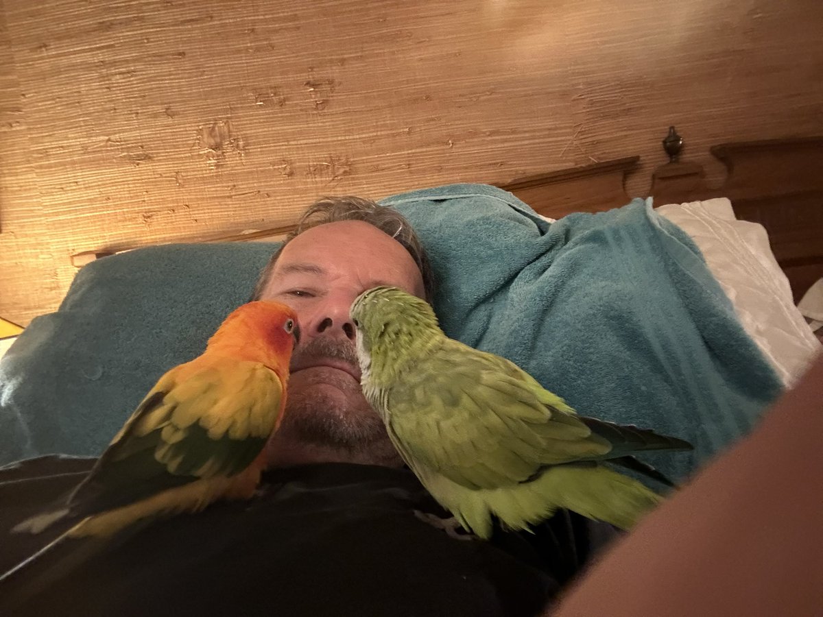 Ken Suarez tweet media