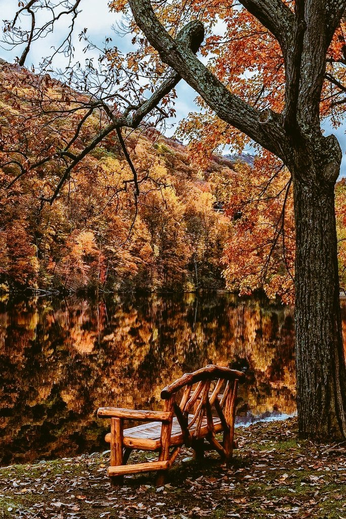 Colours of autumn 🍁🎃🍂