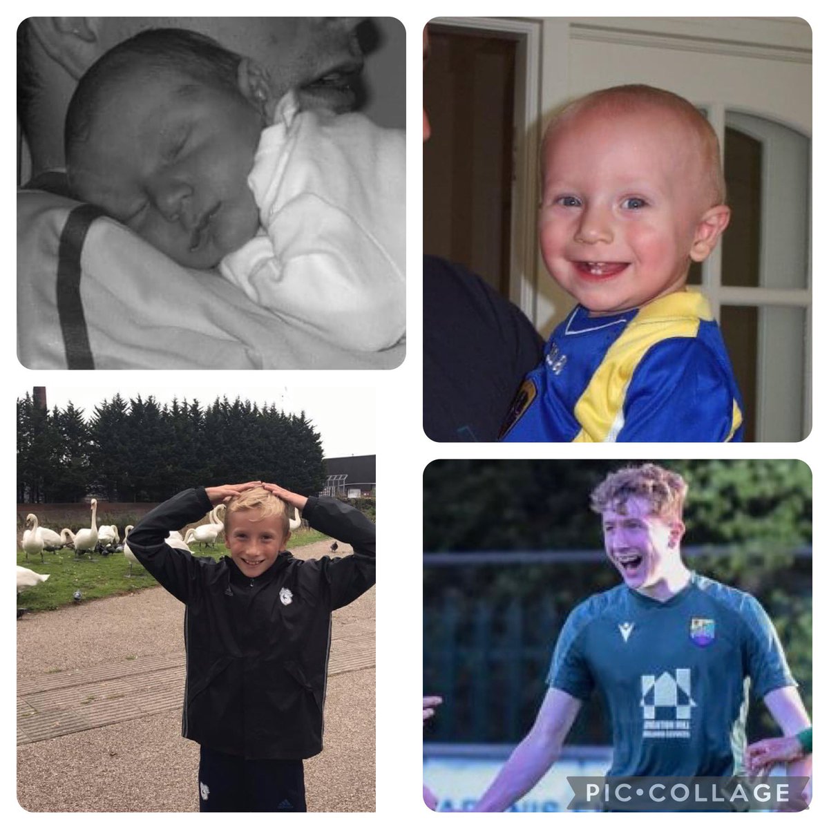 Bethan Ball tweet media