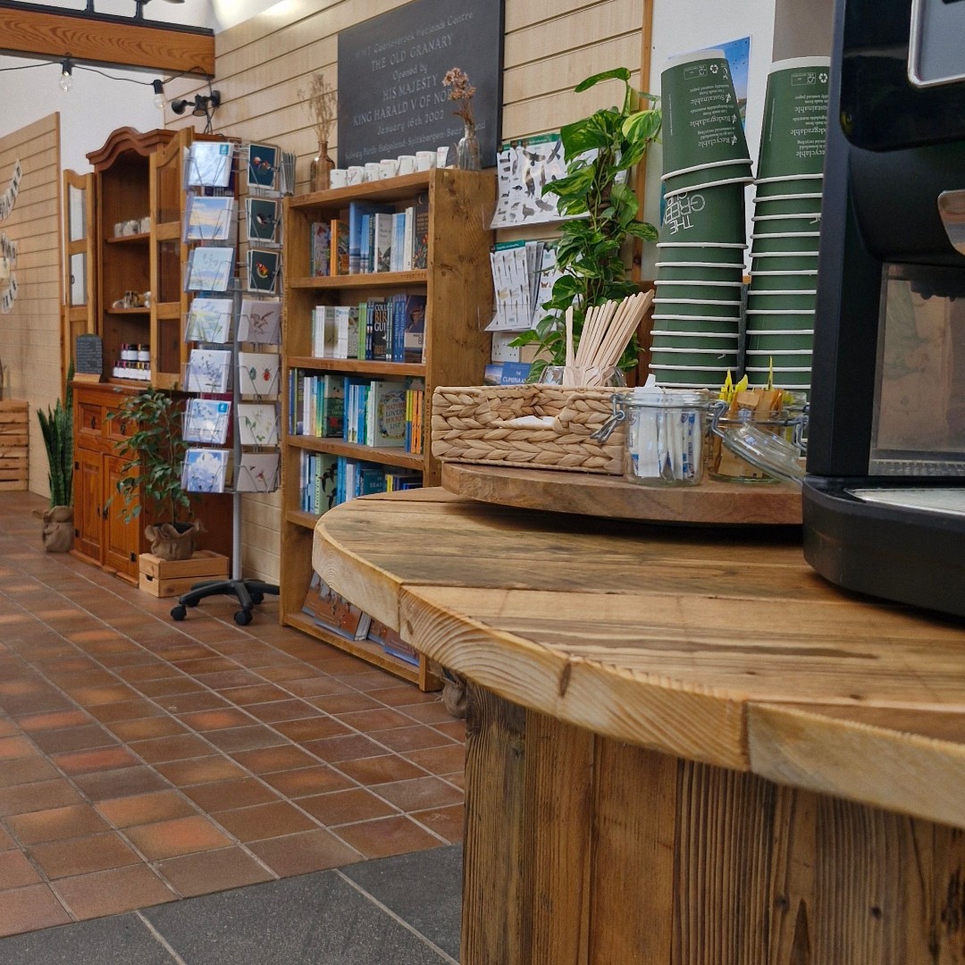 If you haven't been in to check out the newly refurbished Visitor Centre, here is a sneak preview! 

New counter and new bookshelf and more! 

Where able, we have recycled and reused materials and we are so excited for you to see it 💚