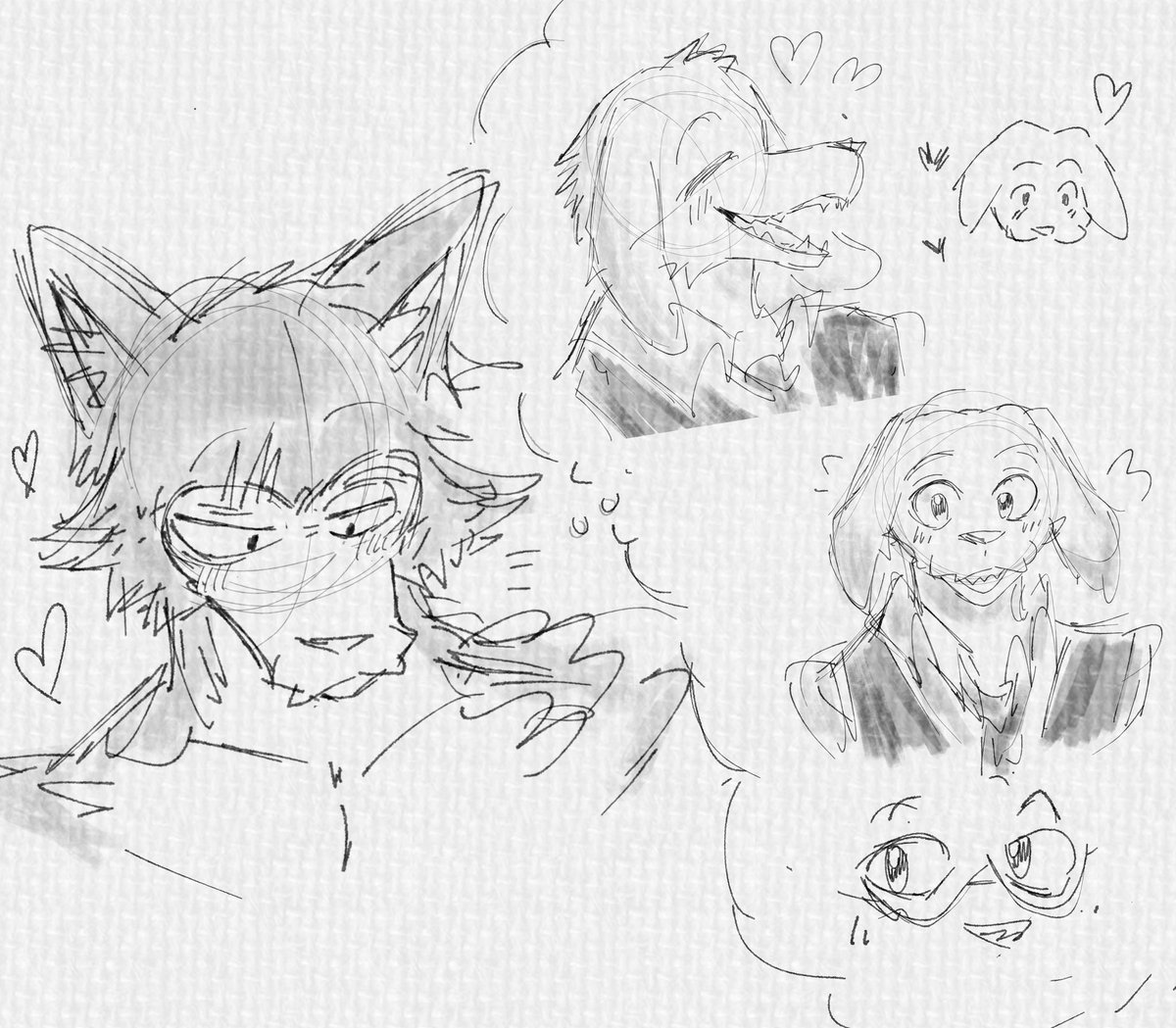 hideoolz's tweet photo. Some #jackgoshi Doodle #beastars https://t.co/g2hvQqFbwf