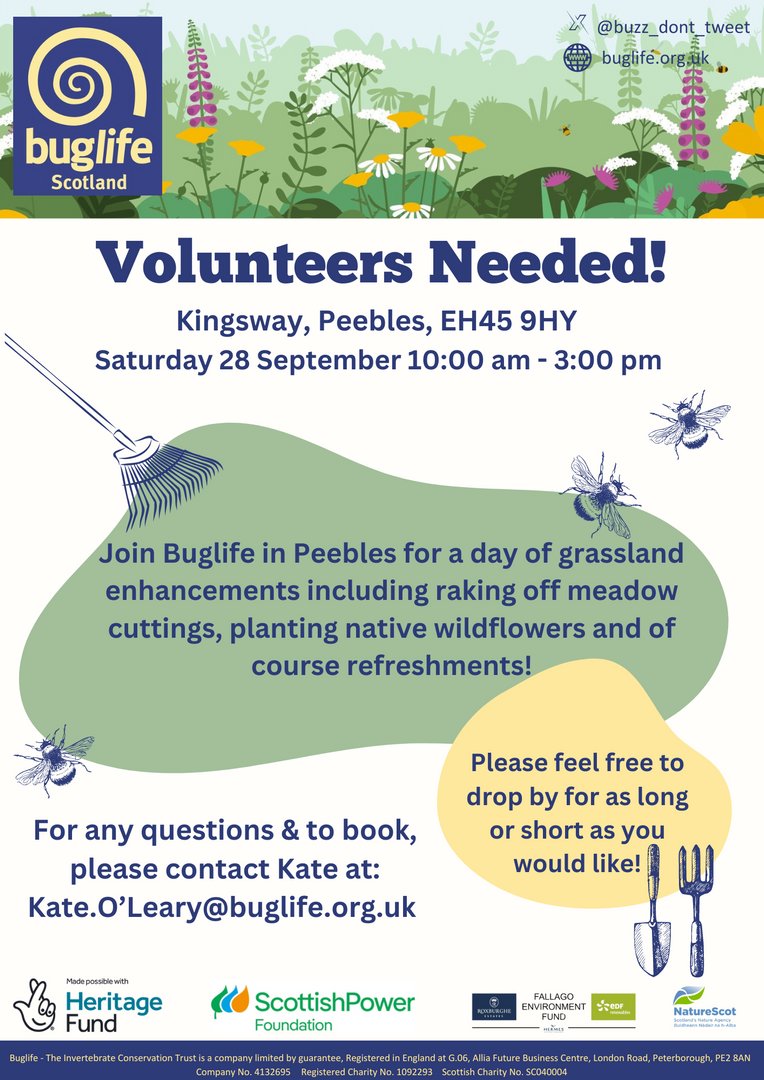 Buzz_dont_tweet's tweet photo. Join #BuglifeScotland, #PollinatorsAlongTheTweed Conservation Officer, Kate, at #Peebles for a day of grassland enhancements!
๐๏ธ Saturday 28 September
๐ 10:00-15:00
๐ Kingsway, Peebles, EH45 9HY
For more information & to book ๐ #PAtT https://t.co/cjUK165C9h