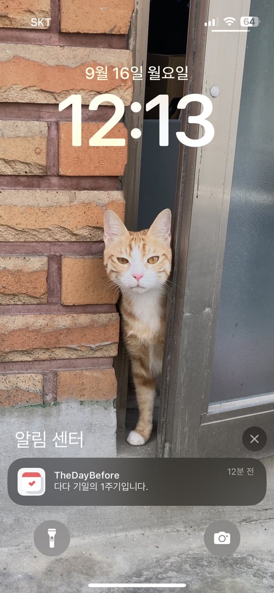 우리 다다 너무 보고싶다 정말