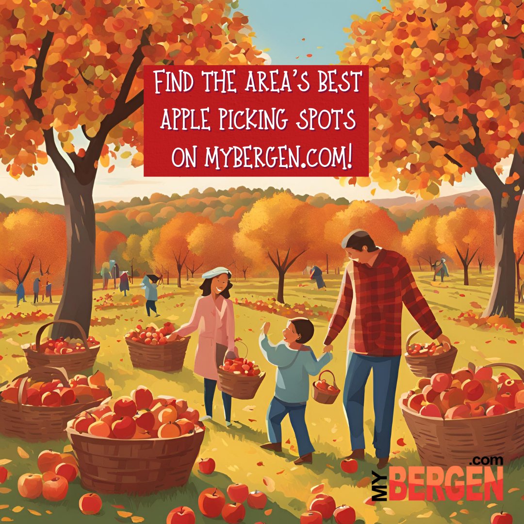 We have a few weeks of prime apple-picking season left in the Bergen County area! 🍎 Visit mybergen.com to read about the best pick-your-own orchards in the Bergen County-North Jersey area!  mybergen.com/best-apple-pic… #bergencounty #applepicking #appleorchard #autumnvibes