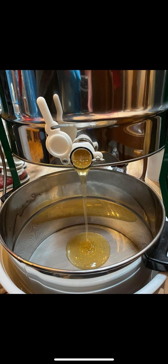 Williamwood HS tweet media