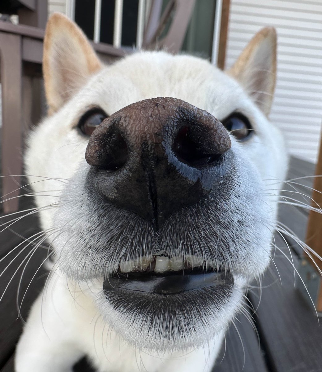 STOP

this is a percy checkpoint

your progress has been saved 

please take a moment to remember that everything will be ok and there is so much good in the world 

you may now resume scrolling