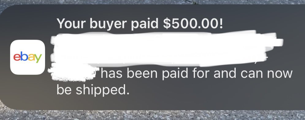 Dr. Flip tweet media