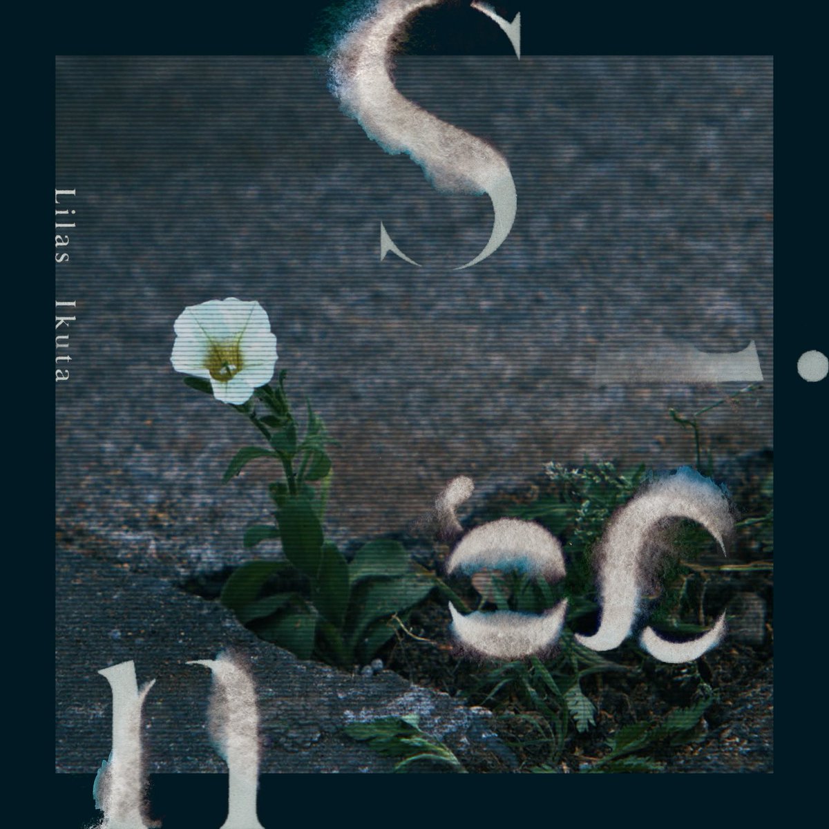 lilastaff_'s tweet photo. 幾田りら「Sign」配信リリース🎧
日付変わって本日9/16(月)23:00より放送開始の“ABEMAオリジナルドラマ『 #透明なわたしたち 』”の主題歌です。
ドラマでも描かれる葛藤やもどかしさを込めた歌詞と、幾田りらとしても新しい一面が見られる歌声にご注目を👂
https://t.co/rgaGNyxIMy
#幾田りらSign https://t.co/DSKEkuEp2Z