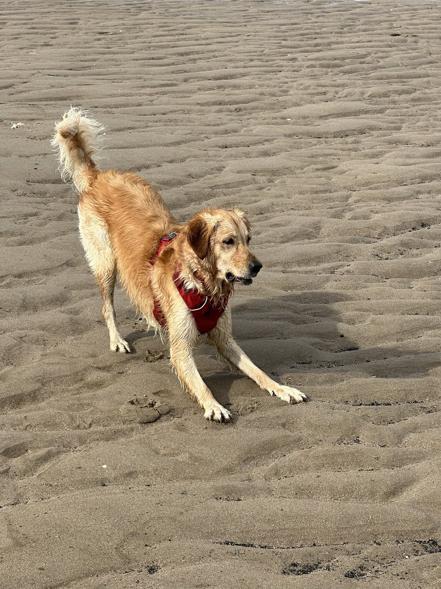 Wade Pryce tweet media