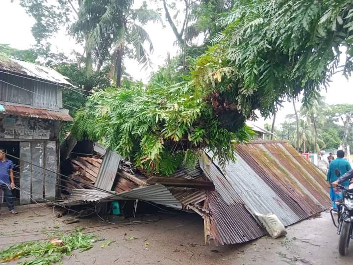 আমতলীতে ঝড়ের তান্ডবে গাছপালা ও কাঁচা ঘরের ব্যাপক ক্ষতি, ২৩ ঘন্টা বিদ্যুৎ সরবরাহ বন্ধ