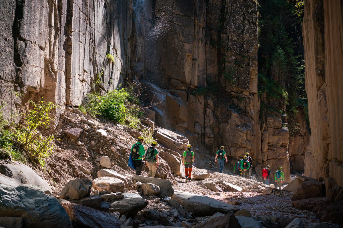 Rosemary Coogan tweet media