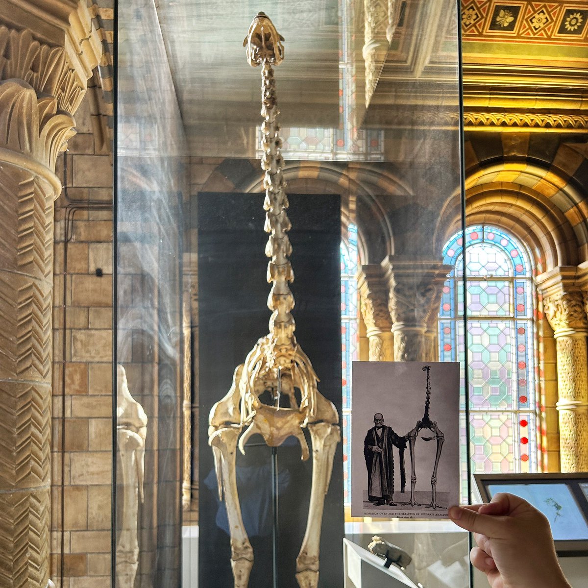 Leah George Demetriou, FLS tweet media