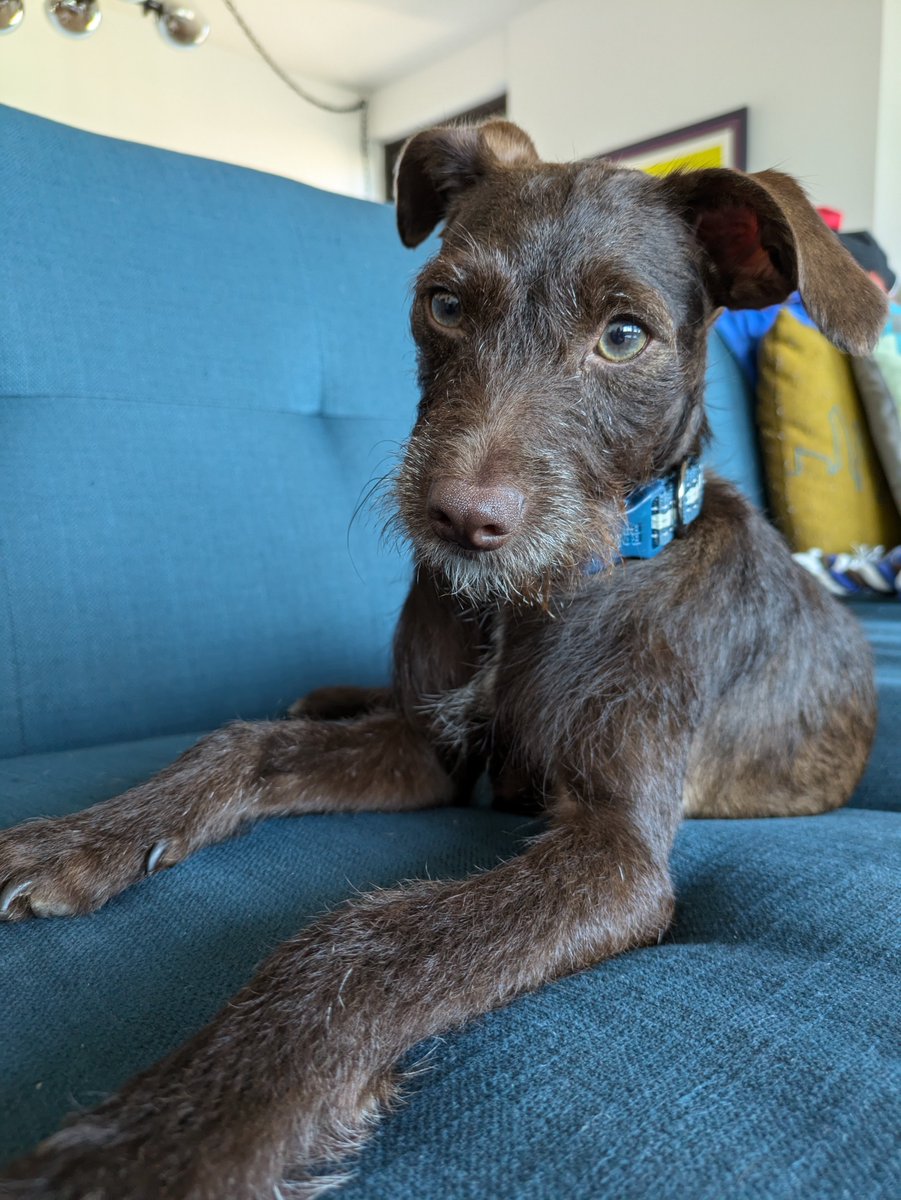 Say hello to Théodor. He's new here.
