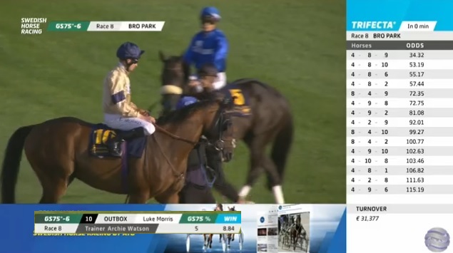 rebelsart's tweet image. Heartbreaking news that Outbox has passed away after racing in the G3 Stockholm Cup today at Bro Park in Sweden. Sending love and prayers to all those who loved and cared for him. 🏇💔😢
#outbox #horseracing #Sweden @Archie_Watson @HollieDoyle1 @HambletonRacing