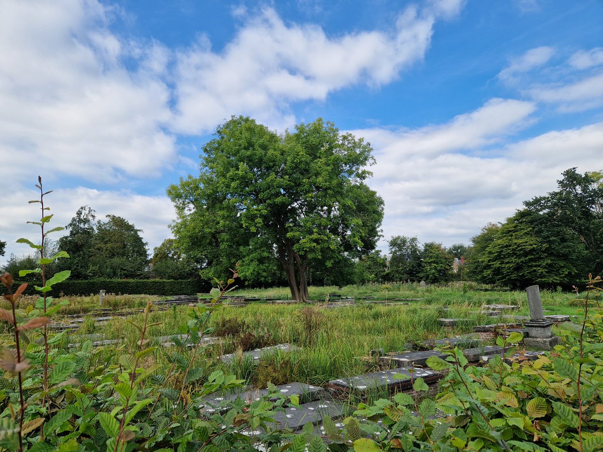 The Portuguese Jewish cemetery Beth Haim in Ouderkerk aan de Amstel near Amsterdam was established in 1614 and is still in use today. Over 28,000 people are buried here. <a href="/jewisheritage/">AEPJ</a> #EDJC2024