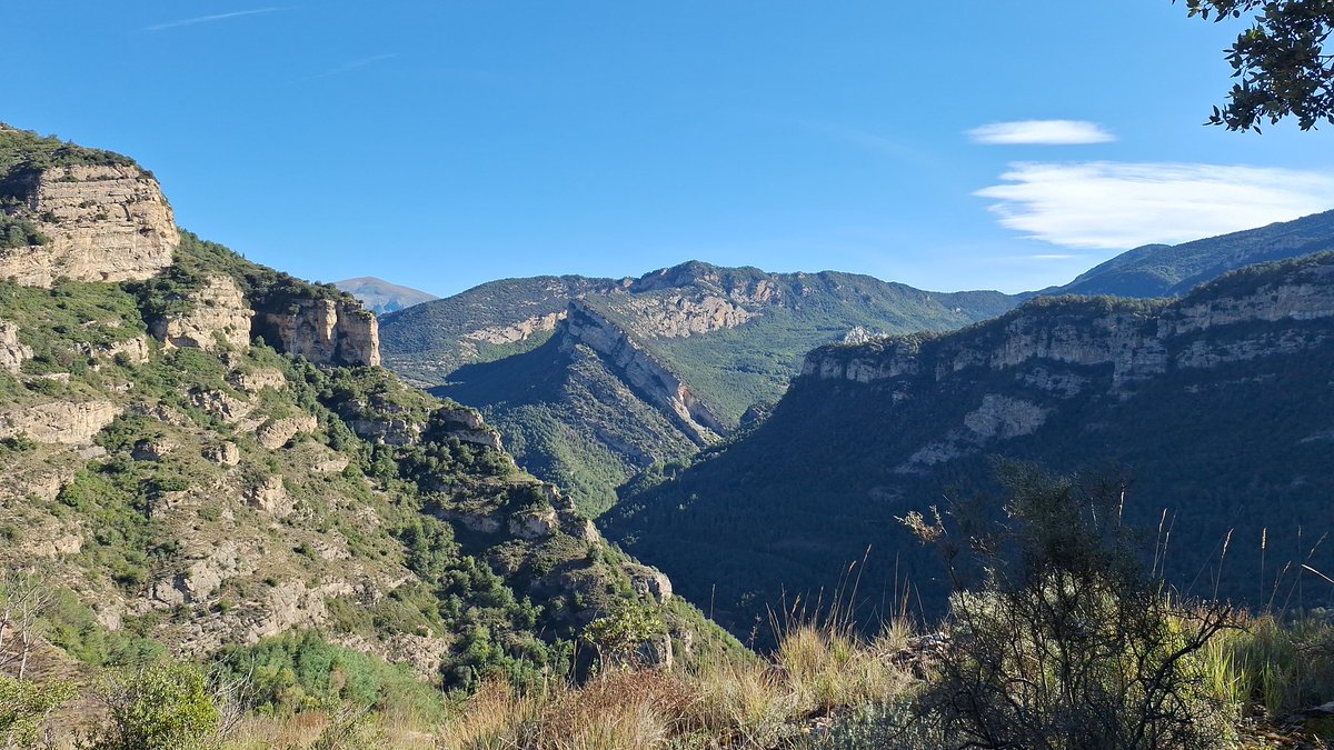 Josep Trepat Font 🎗️ tweet media