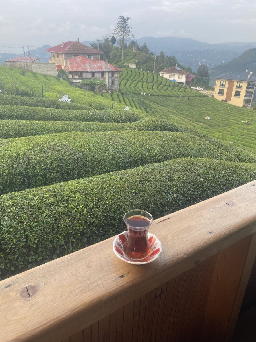 Cenneten bir köşe #haremtepeköyü #çeçeva